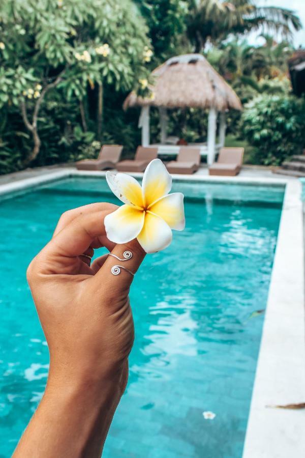 Villa Karisa Boutique Hotel Seminyak Zewnętrze zdjęcie